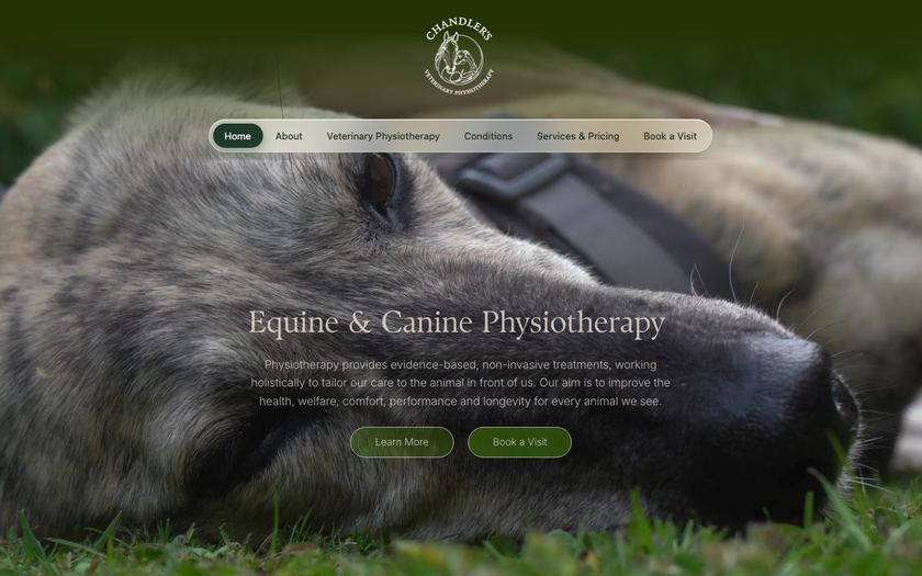 The Chandler’s Vet Physio website